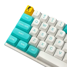 cs (1)